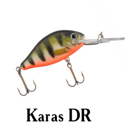 Karas DR